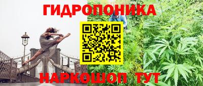 амф Будённовск