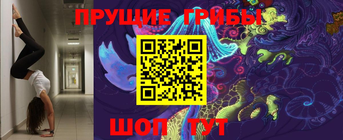Галлюциногенные грибы прущие грибы Кувандык